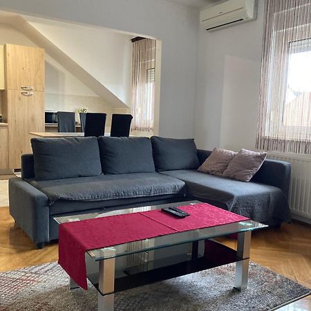Apartments "Pavic" Near Zagreb Airport Velika Gorica Buitenkant foto